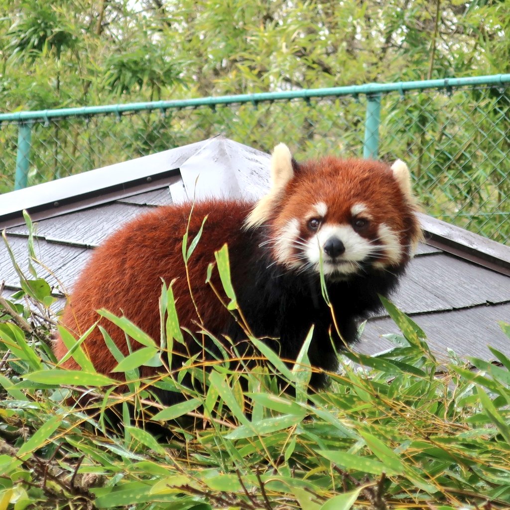 ひろみん tweet media