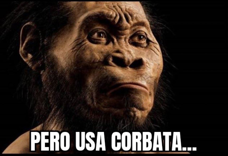 <a href="/CNNChile/">CNN Chile</a> Pobre ministro de Hacienda me imagino lo mal que lo va a pasar, ah no espera, verdad que le pagamos todo con nuestros impuestos y más...