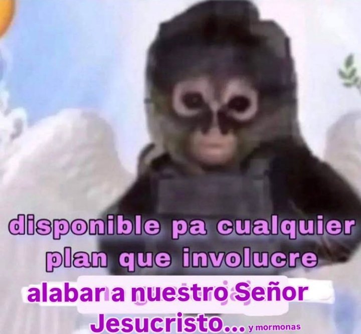 Maestre Mapaxito tweet media