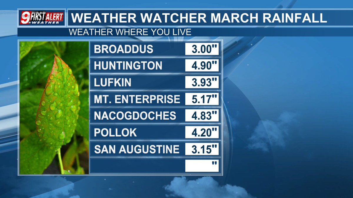 Brad Hlozek tweet media