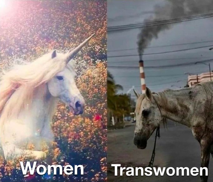 ∞ dapeif ∞ tweet media