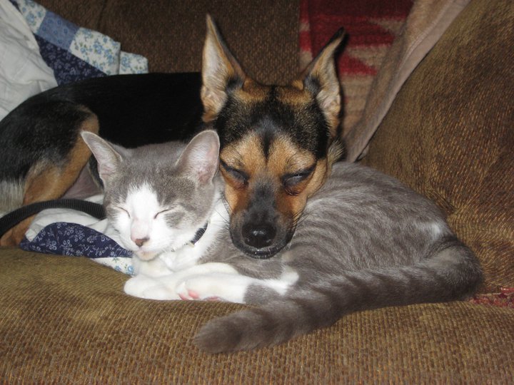 Anthony Wayne tweet media