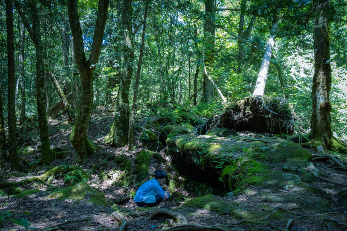 斧口智彦🫠 tweet media