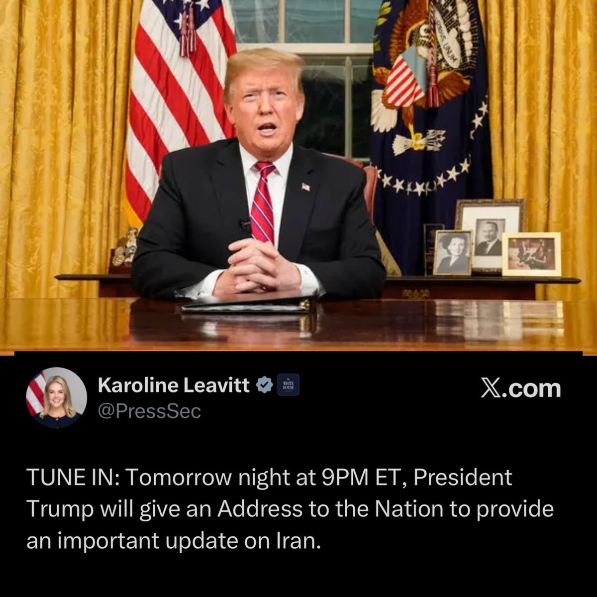 Nick Sortor tweet media