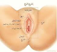 mhnd28240's tweet photo. #مٌعصيٌتٓيّ_رحّتِيّ 
💐من خدماتنا المجانيه💐
فحص غشاء البكاره عن بعد 
بنتائج مضضمونه وموثقه 
📌 اصدار تقارير طبيه وشهادات العذريه💐 #بنت https://t.co/uoOncyTvl5