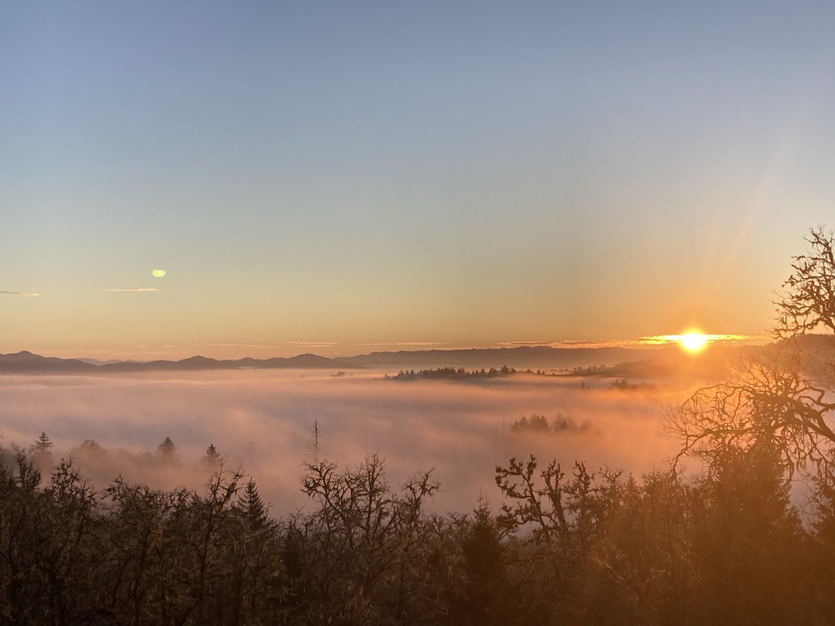 Original Content tweet media