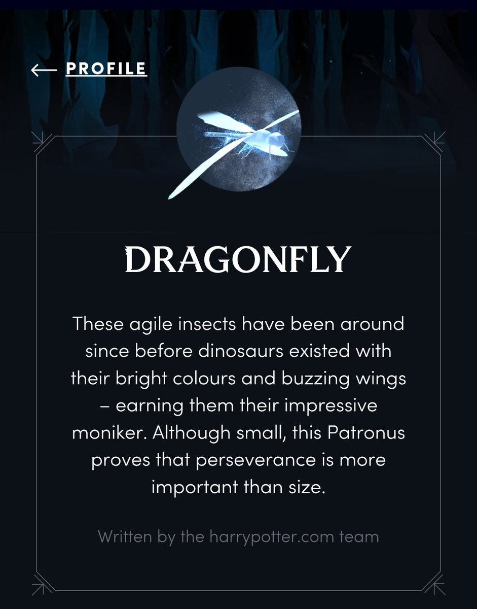 schwingel tweet media