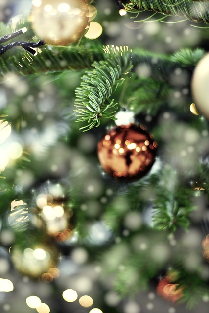 Bobby Turcios tweet media