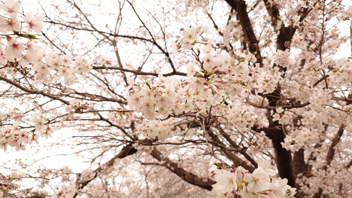 司化成工業株式会社 | Creating the Future Together tweet media