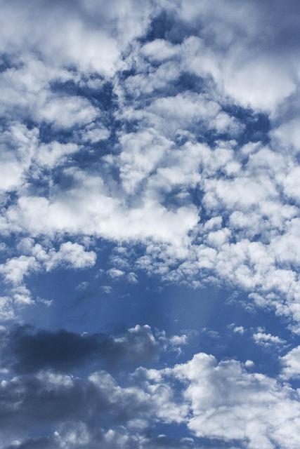 Brandon Robinson tweet media