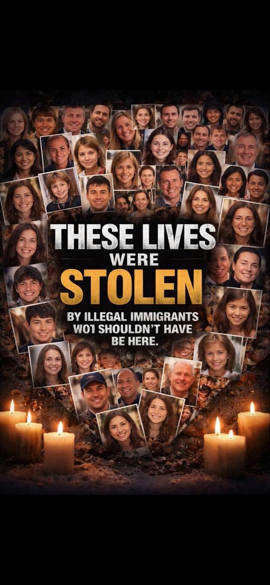 Robin from Boston tweet media