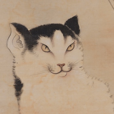 長沢蘆雪展＠府中市美術館【図録制作チーム公式】 tweet media