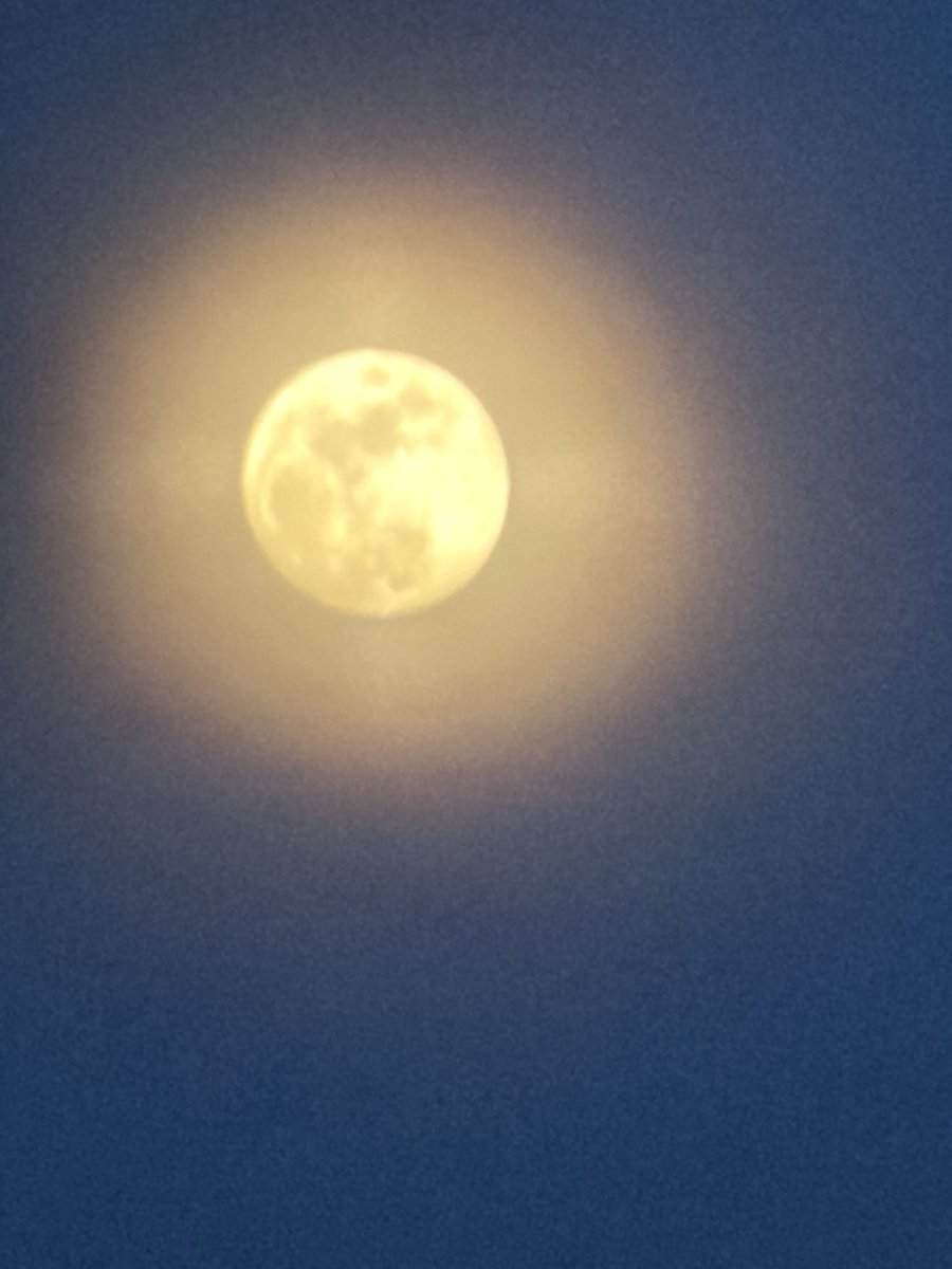 James Laverty tweet media