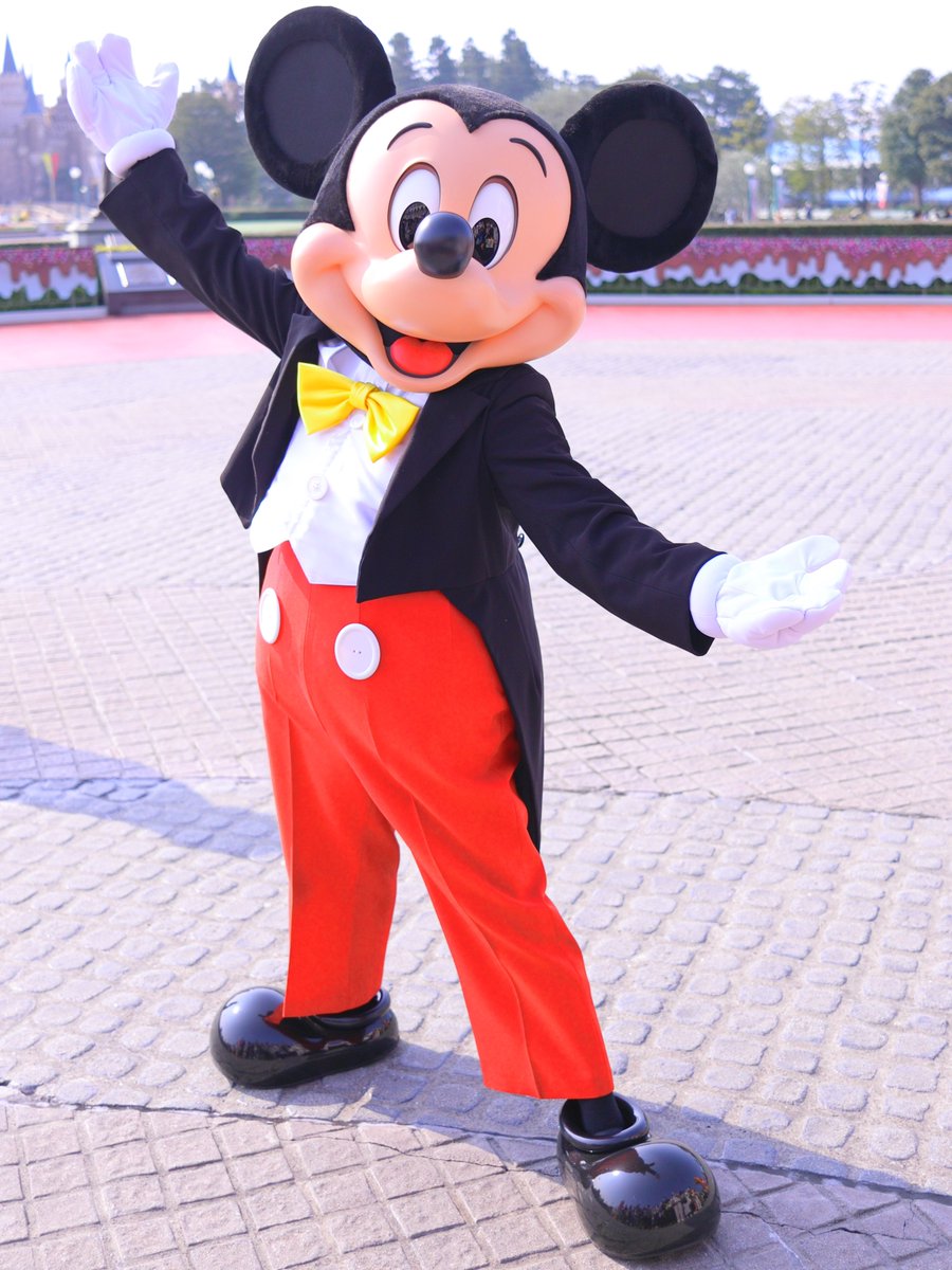 ギャオギャオ@まったり派 tweet media