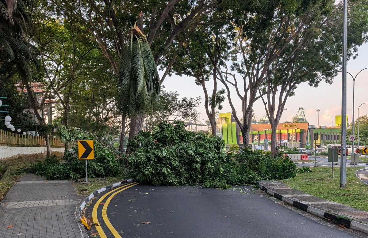 westbound pasir panjang road blocked by fallen tree outside haw par villa. reported to LTA; got diverted to Nparks nobody picked up. nparks's toll free number dont work. how?