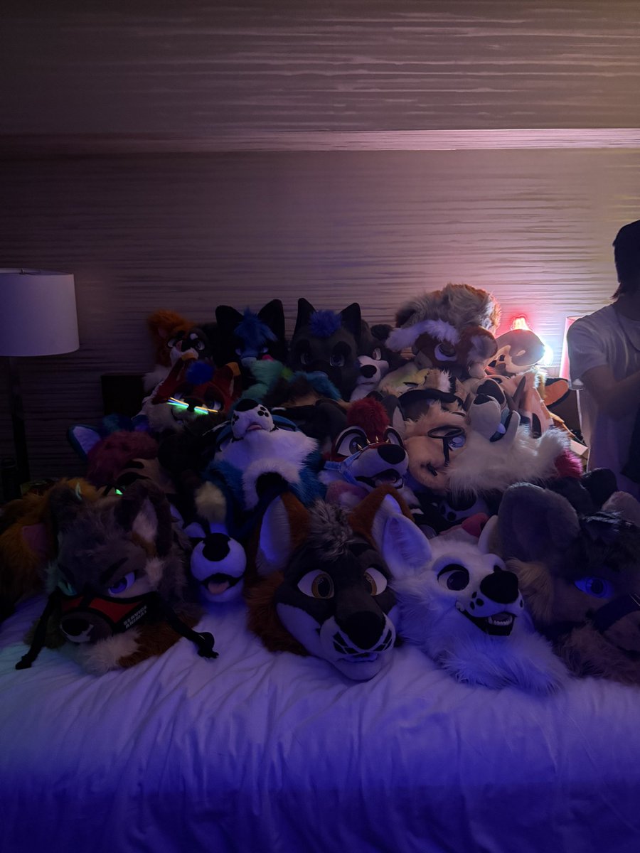 NORTH 🔜 FWA tweet media