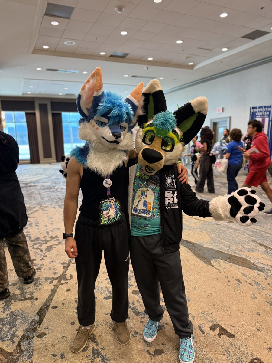 NORTH 🔜 FWA tweet media