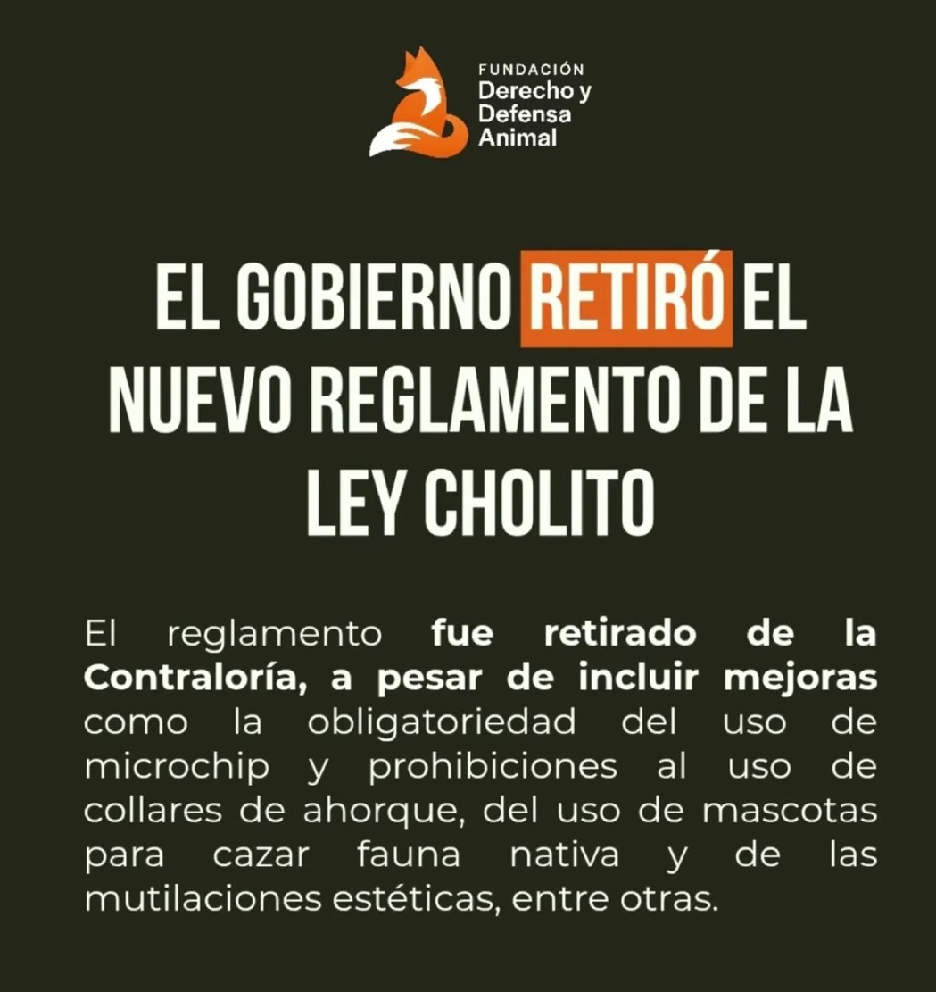 CarlosAmpuero's tweet photo. Ser Animalista y votar por la derecha es el peor DAÑO que podrías hacer !!

Las consecuencias serán Brutales!! 
Espérate que comiencen a restringir lugares donde puedas ir con ellos !!

Háganse Cargo Csm !!! https://t.co/DC9Mm2fj3K