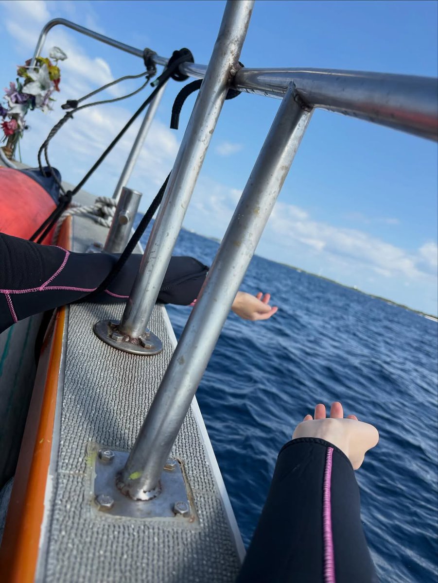 𝐰𝐨𝐧𝐛𝐞𝐞𝐧 tweet media