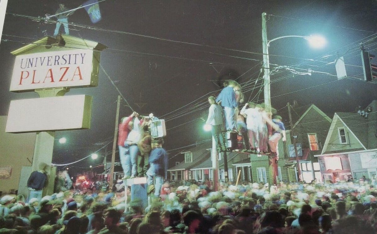 catsclassics tweet media