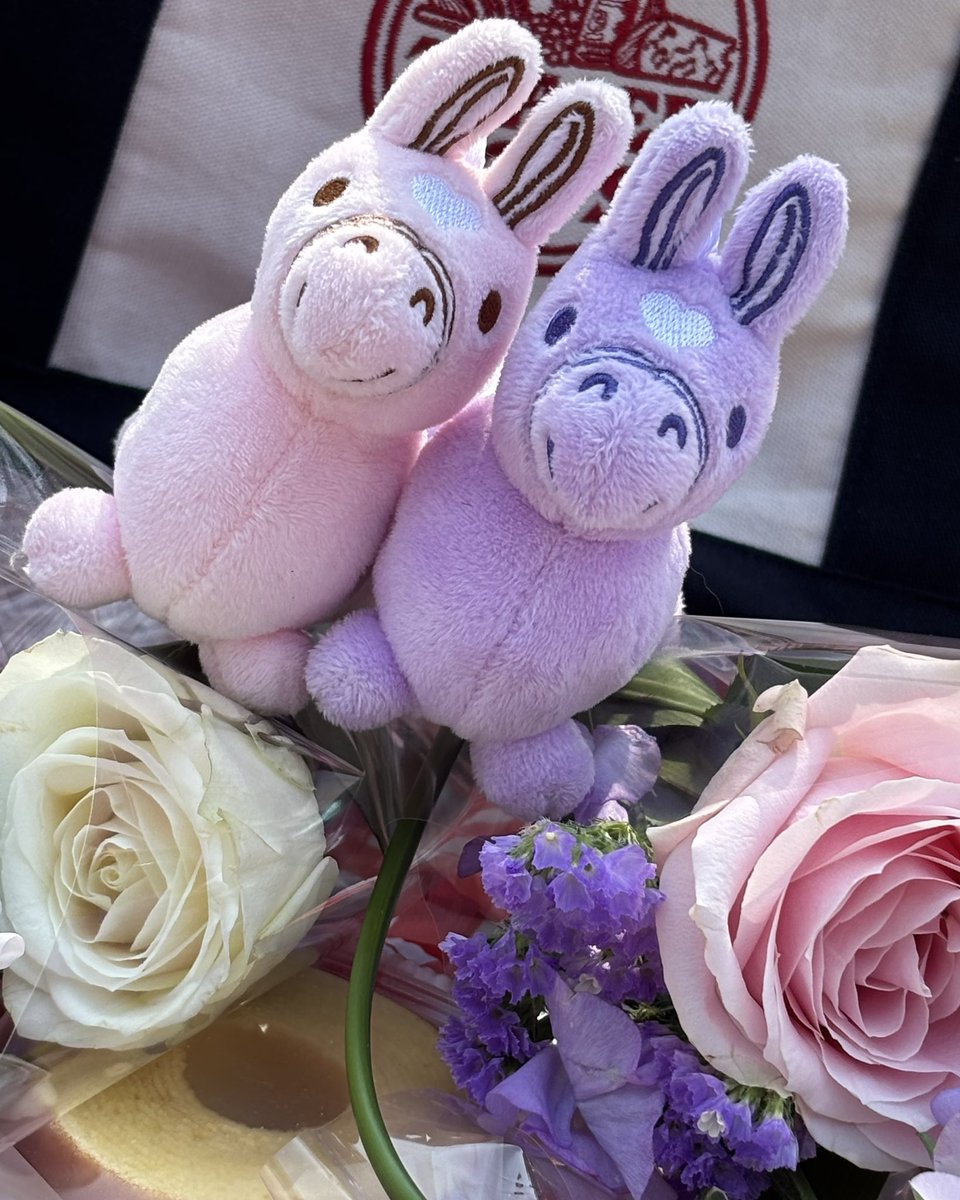 RODY（ロディ） tweet media