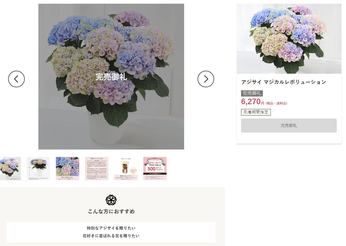 Oisixで見かけて、綺麗だなーってチェックしてたアジサイのマジカルレボリューション、昨日見たら完売してて自分の行動と判断の遅さよ……👺