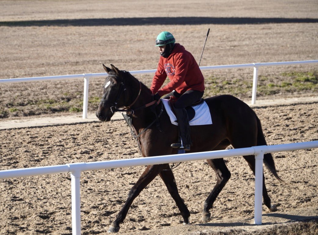 Belladonna Racing Partnership tweet media