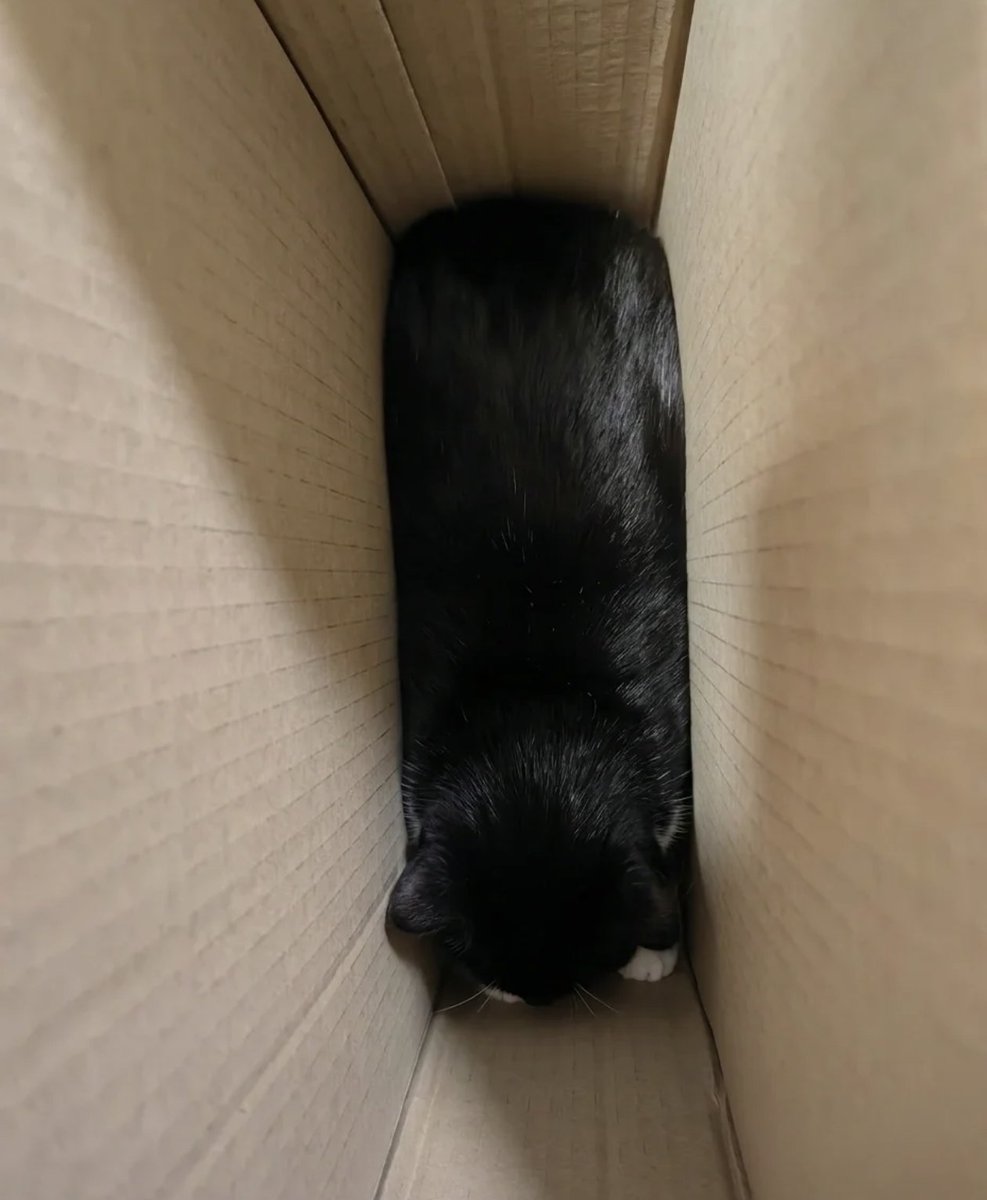 Kathleen tweet media