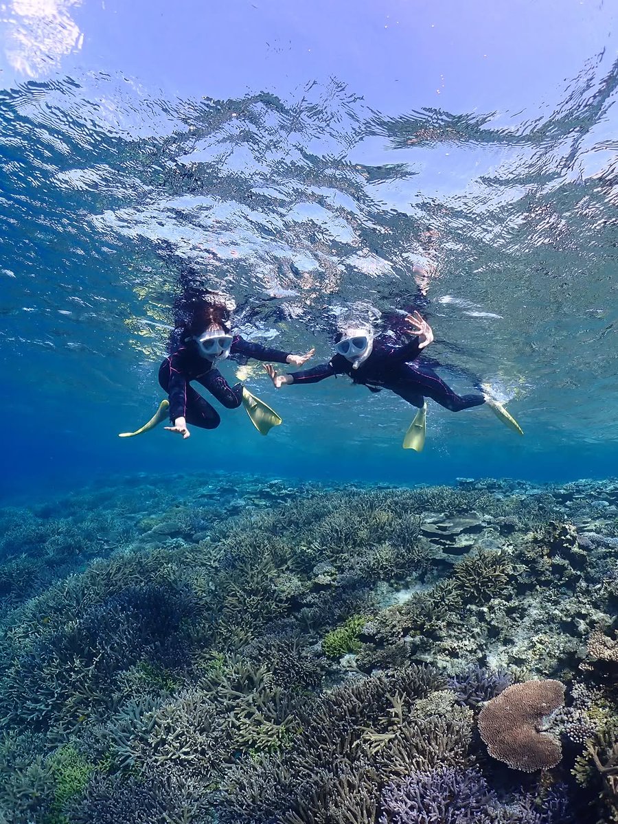 𝐰𝐨𝐧𝐛𝐞𝐞𝐧 tweet media