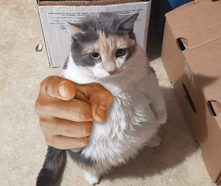 ᅠᅠᅠ ᴊɪɴxɪ tweet media