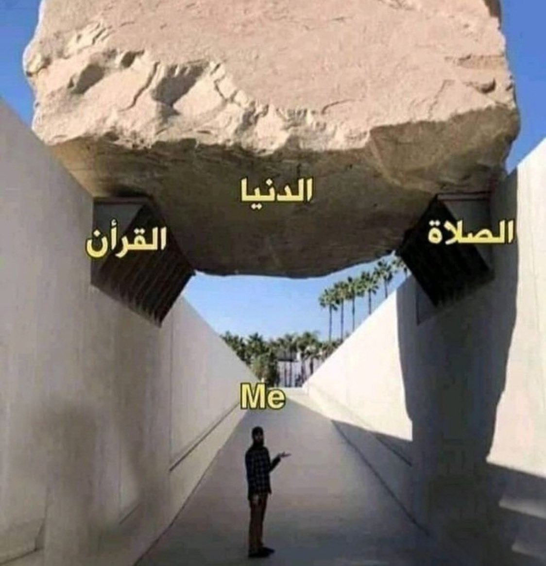 فذكر tweet media