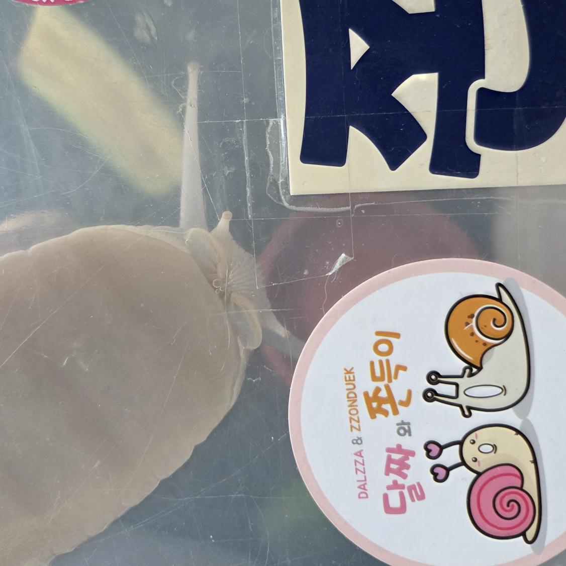 느림보키우기 tweet media