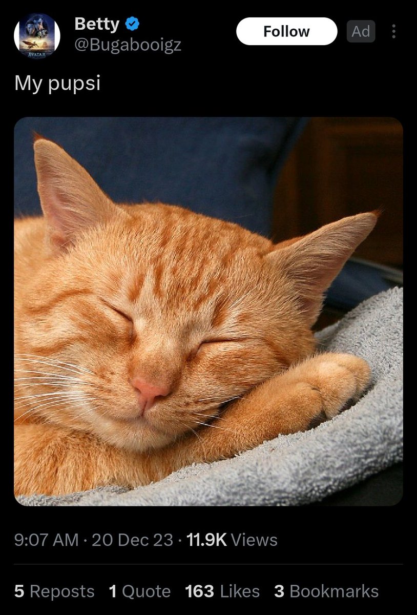 🎷 pixel tweet media