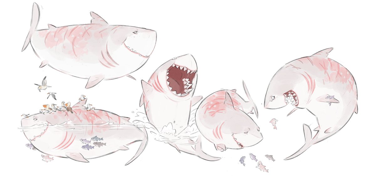 Daniel Chong tweet media