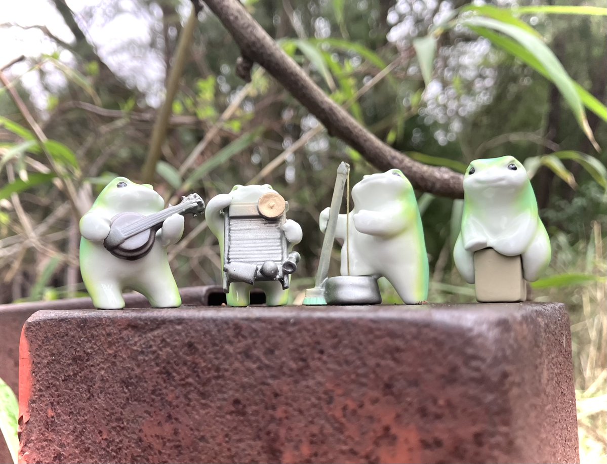 ボンゲ式🐸bongeshiki tweet media