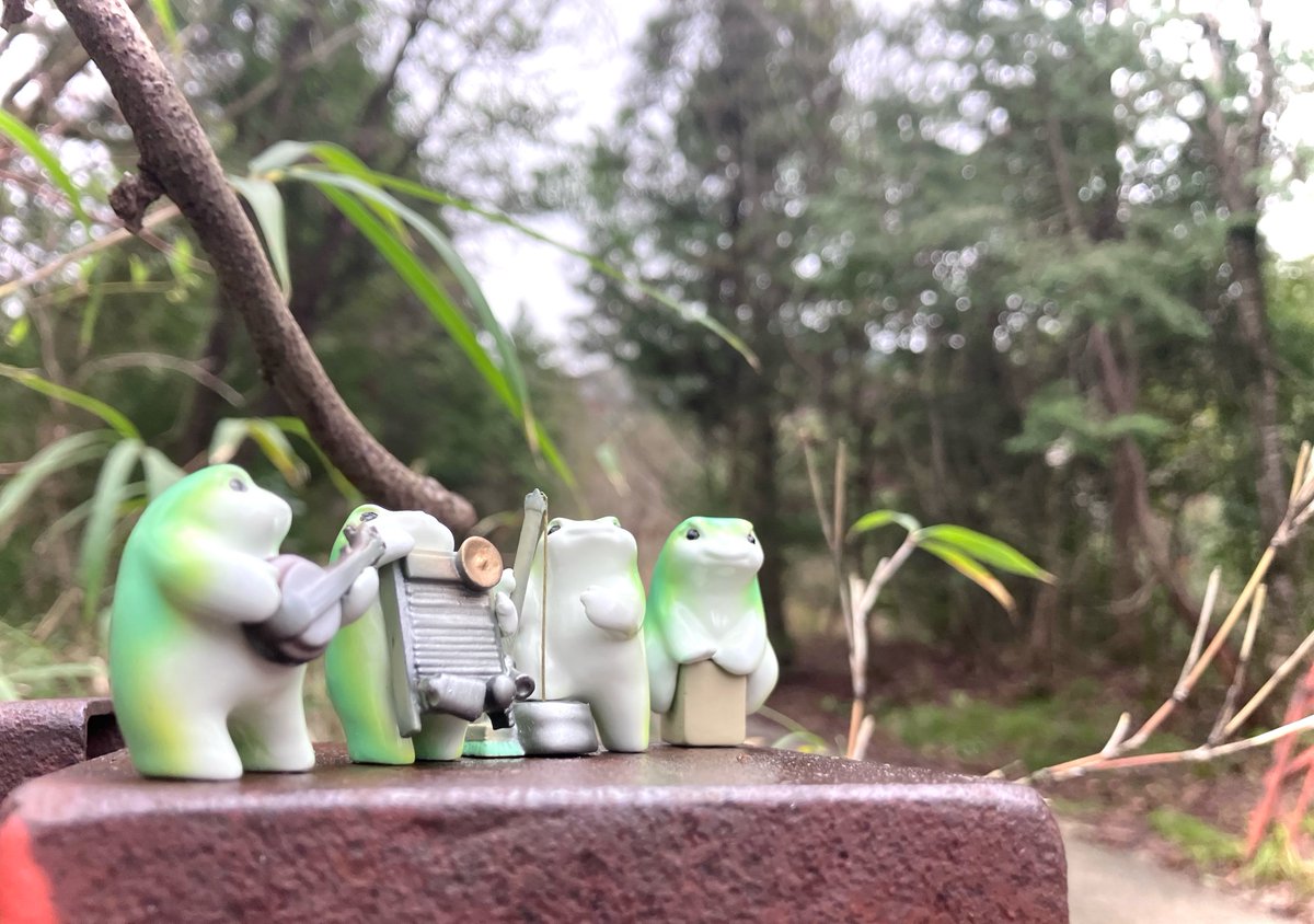 ボンゲ式🐸bongeshiki tweet media