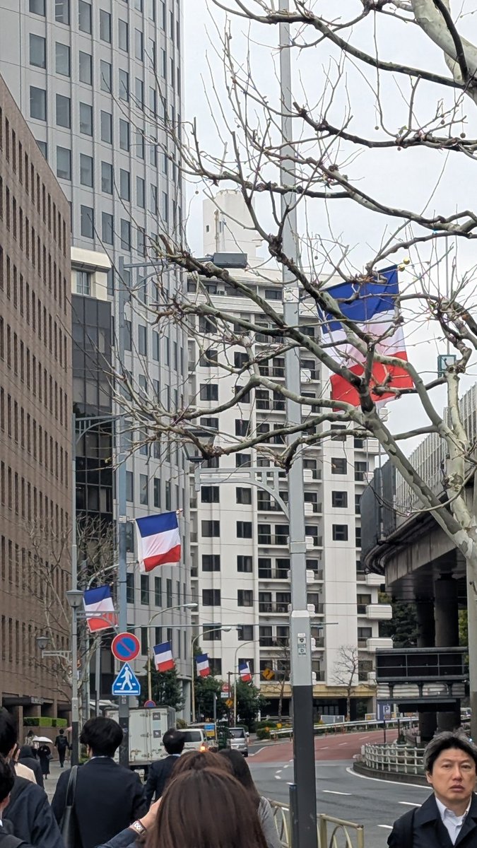 ナッツ tweet media