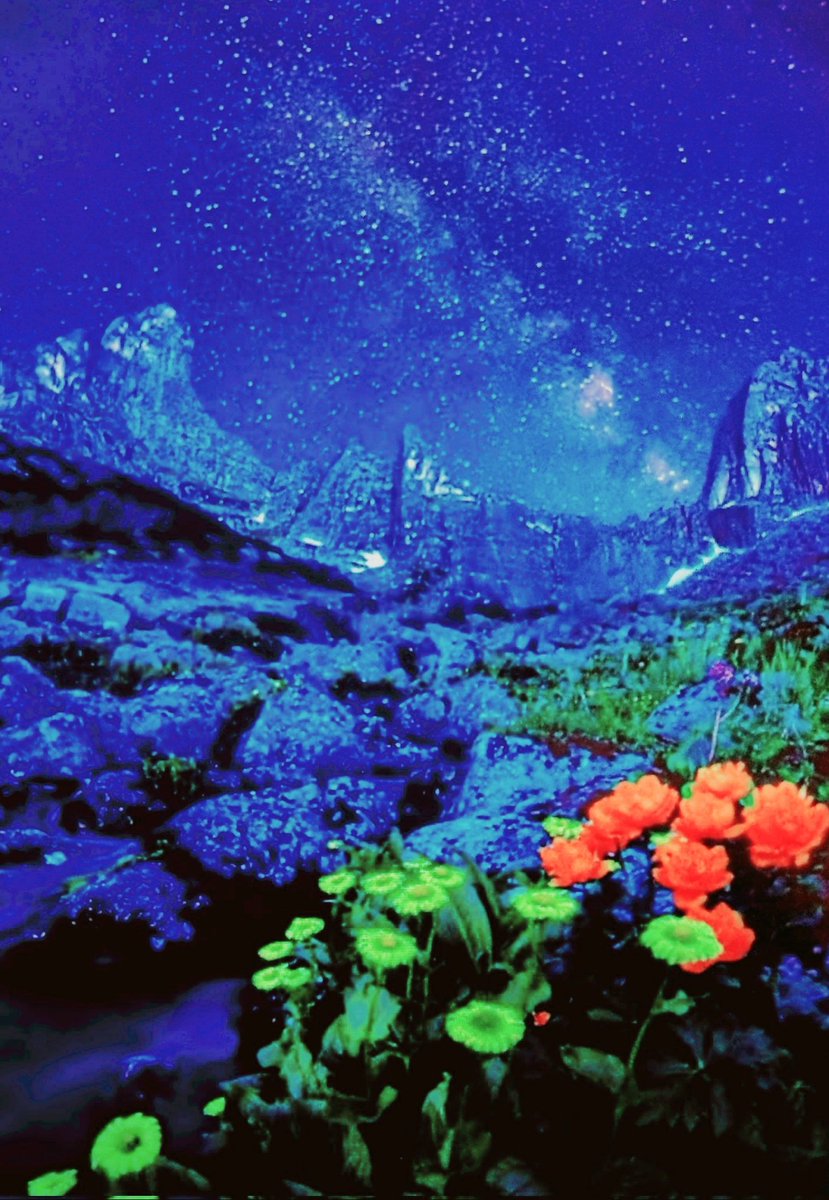 Anika_Jesus's tweet image. #WorldPeace  🕊 
#TrumpForWar 
#NetanyahuBeAManOfPeace

"Quando morre uma flor, nasce uma semente; quando uma semente morre, nasce uma planta. E a vida continua o seu caminho, mais forte do que a morte." 

[Rabindranath Tagore]