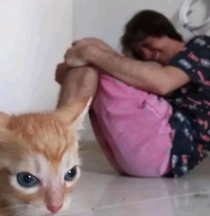 Janzin - 𒀀𒀊𒉺𒇷𒌋𒈾𒀸 tweet media