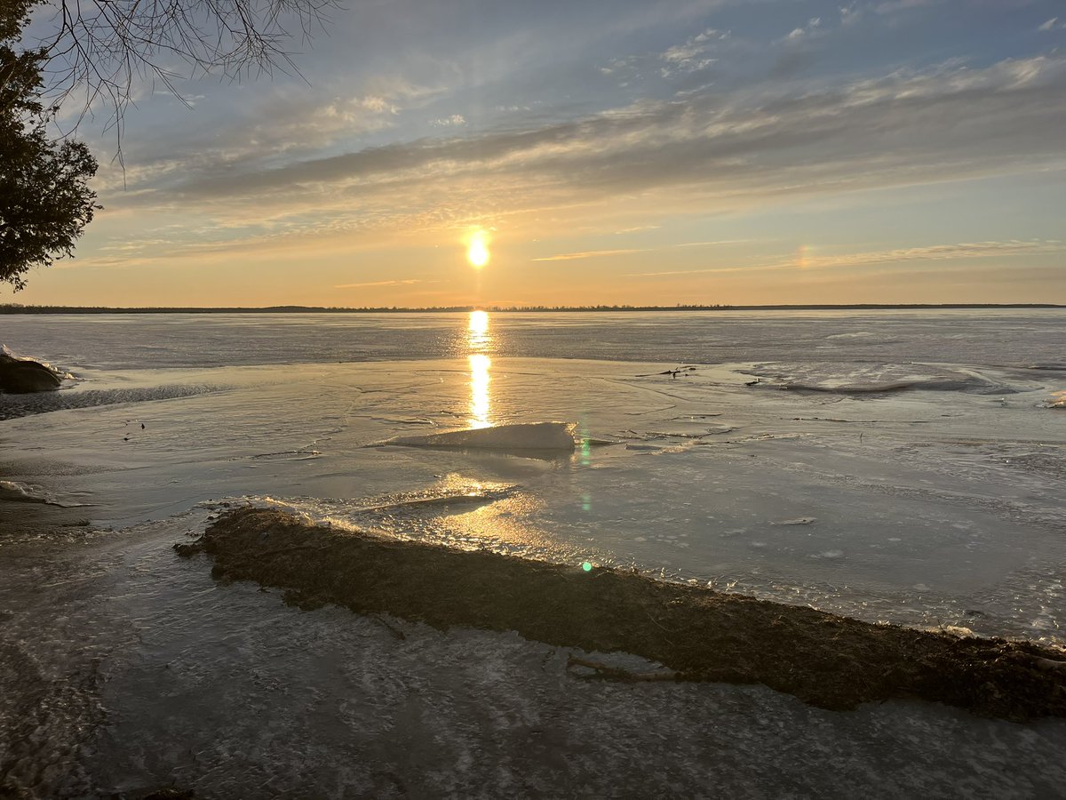 gimewaan diamond tweet media