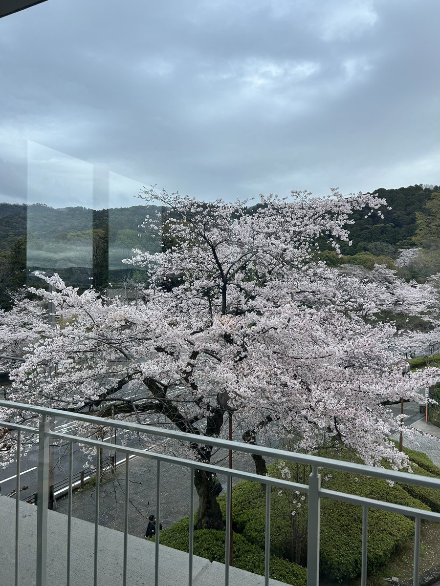 位田博照(いだひろてる) tweet media