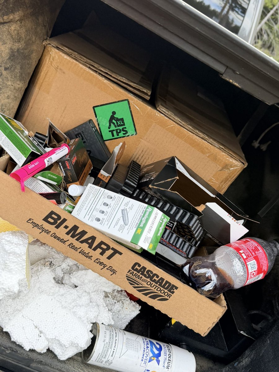 Valkyrie Brynn tweet media