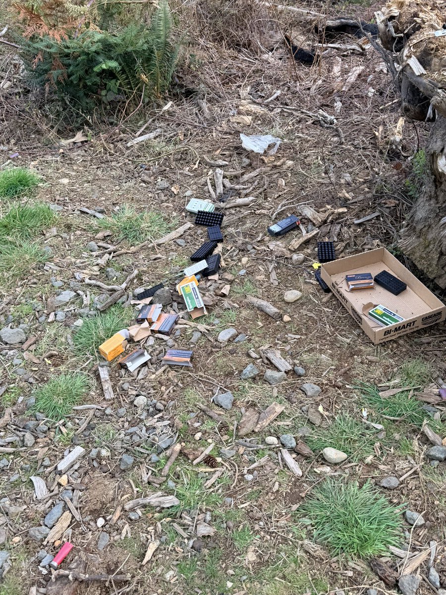 Valkyrie Brynn tweet media