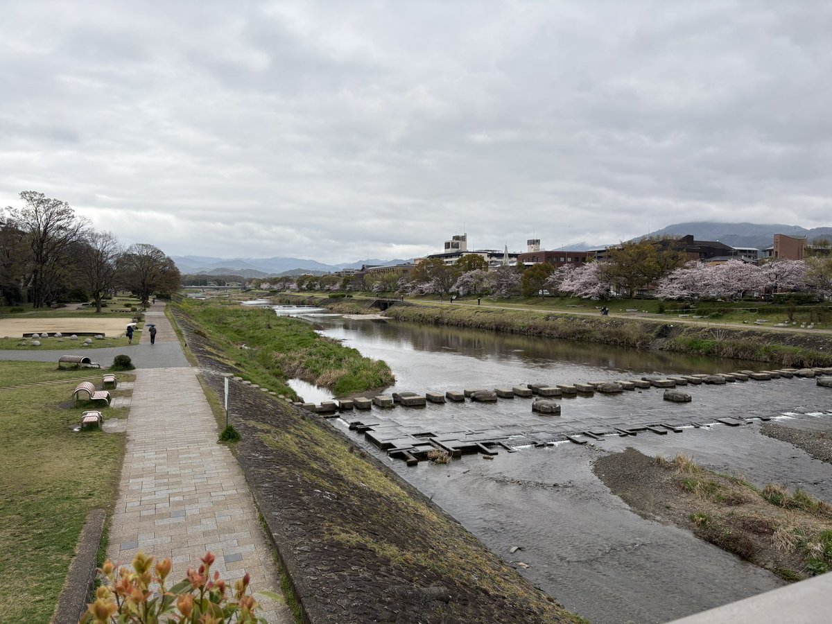 北センチネル島 @シアン化物イオン tweet media