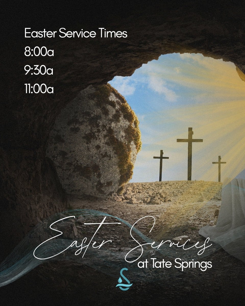 Tate Springs tweet media