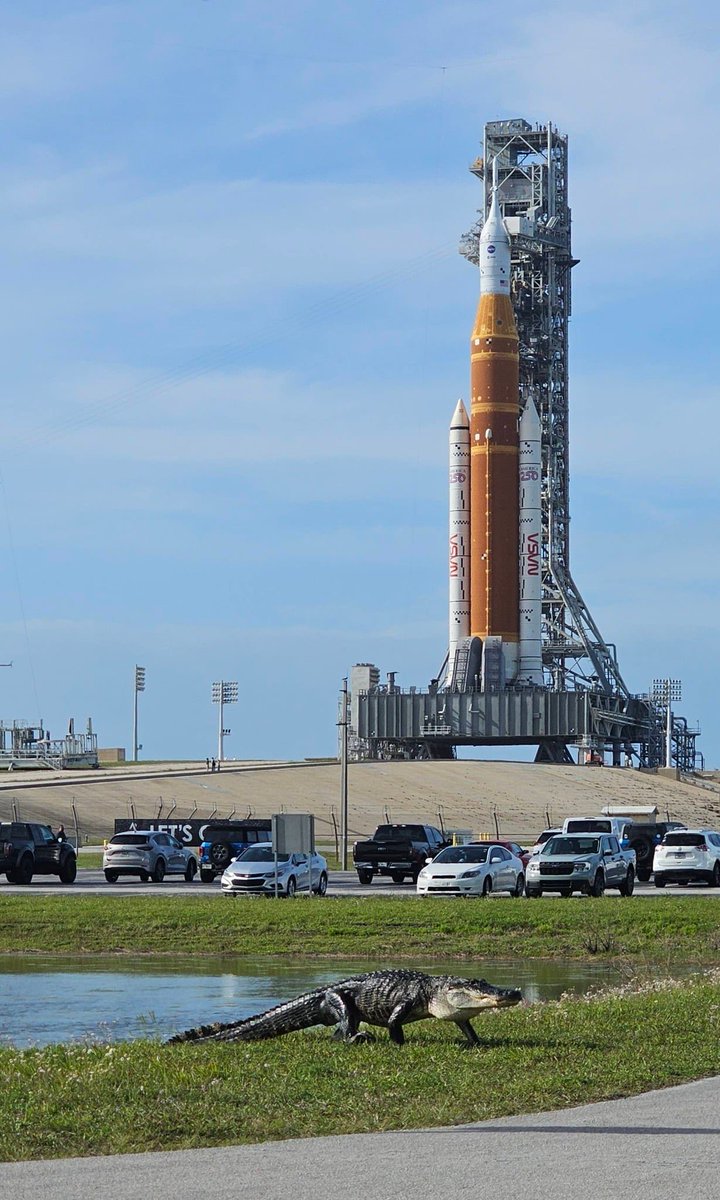 Hubert Kijek tweet media