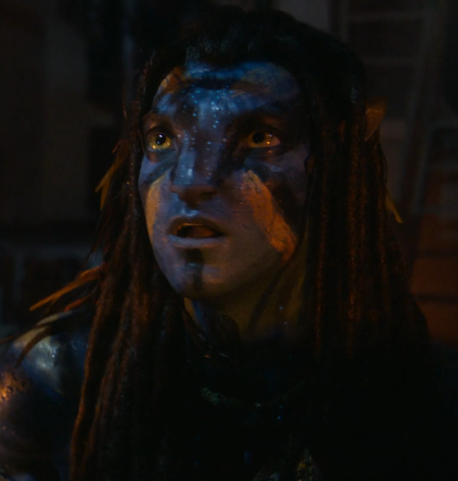 Lin'eya 🌿 COMS OPEN 🩵 tweet media