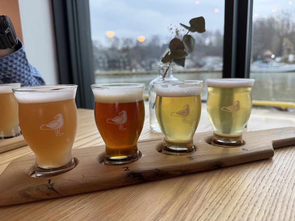 Robert 🇨🇦 tweet media