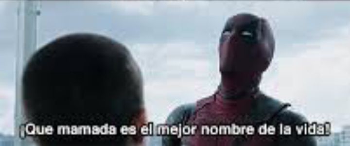 🦉~Spring_bladev~🦉 tweet media