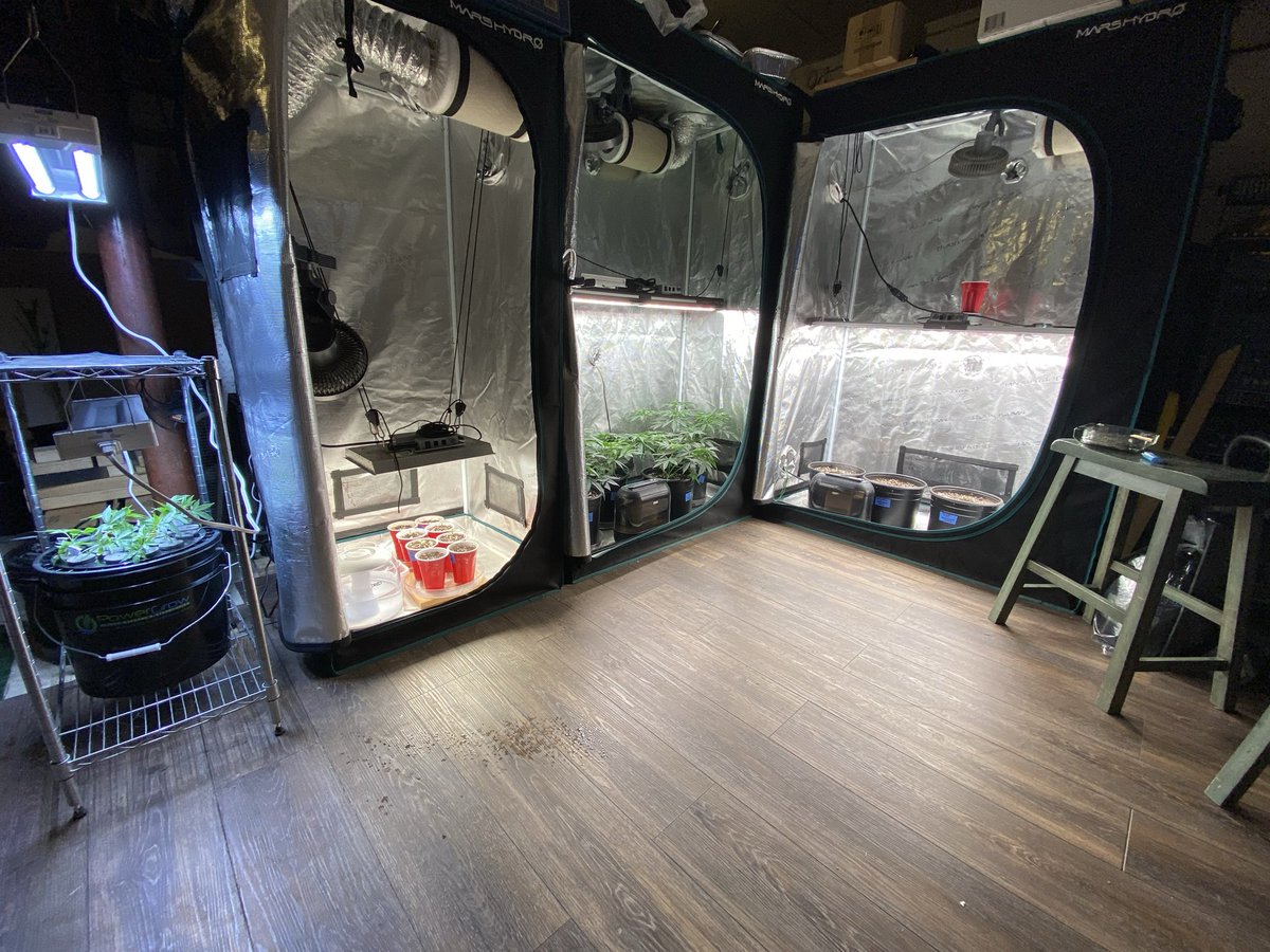 Letmeknowbarry tweet media